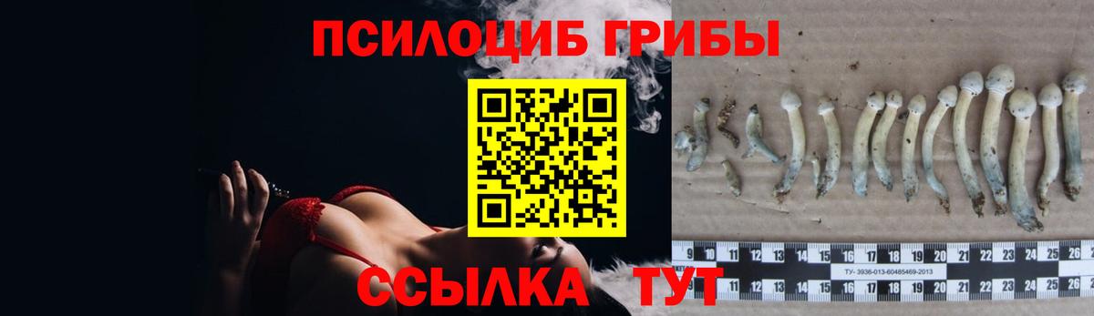 Галлюциногенные грибы MAGIC MUSHROOMS  Вход с VPN  Рыбинск 